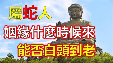 屬蛇姻緣|【屬蛇姻緣】屬蛇姻緣大解密：最佳配對與相沖對象一覽！